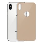 Microsonic Apple iPhone X Arka Tam Kaplayan Temperli Cam Koruyucu Gold