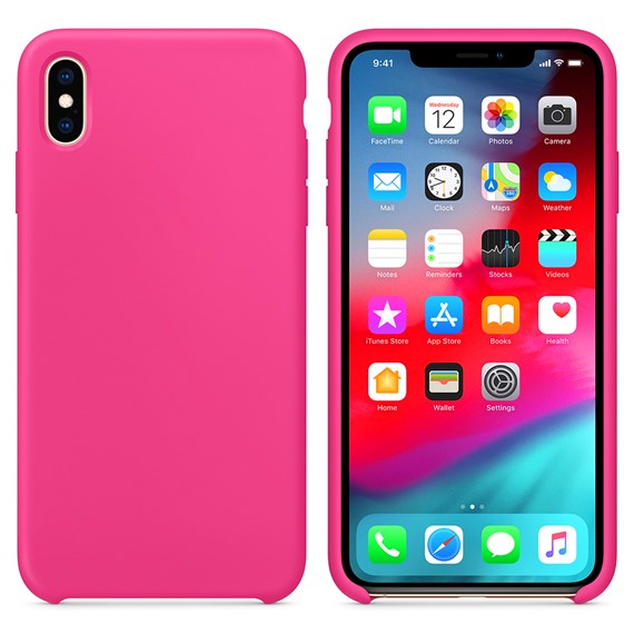 Microsonic Apple iPhone X Kılıf Liquid Lansman Silikon Pitaya 1