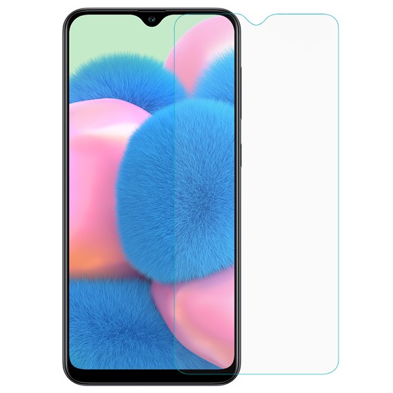 Microsonic Samsung Galaxy A30s Nano Cam Ekran Koruyucu 2