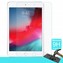 Microsonic Apple iPad Mini 5 7 9 2019 A2133-A2124-A2125-A2126 Temperli Cam Ekran Koruyucu