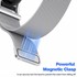 Microsonic Garmin CIRQA Kordon Milanese Loop Kordon Gümüş 8